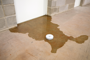 2. Detecteert water en slaat alarm